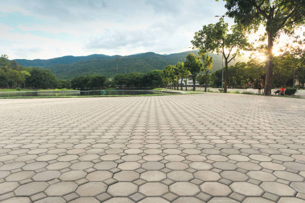 Best Driveway Paving Contractor  in Ayden, NC